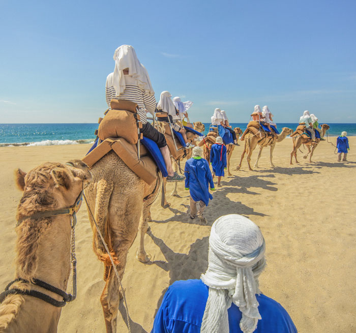 Safari en Camello from Pedregal, San Jose del Cabo, Tourist Corridor, Cabo San Lucas - Mexico