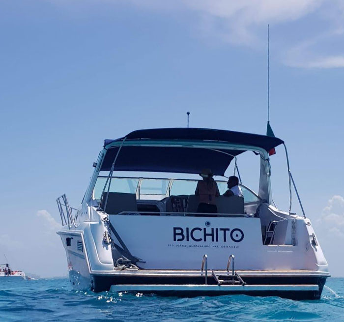 AKUMAL Limusina oceánica