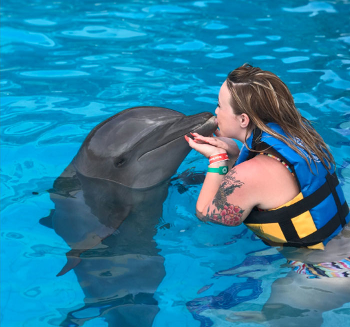 PUNTA MAROMA AVENTURA Delfín