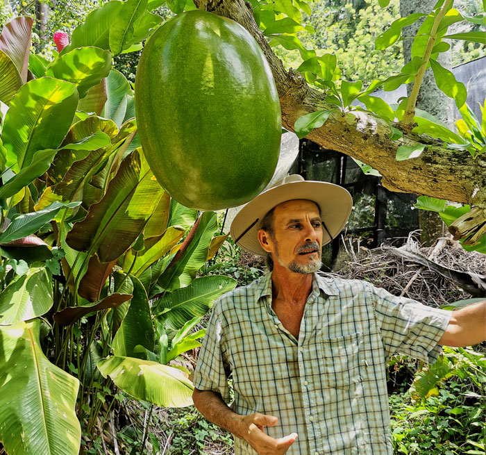 Valle Taino y City Tour, Calle Rosa, Calle Paraguas, Tour Cultural Valle Taino + City Tour from Sosua, Puerto Plata, Cabarete, Cofresi - Maimon - Dominican Republic