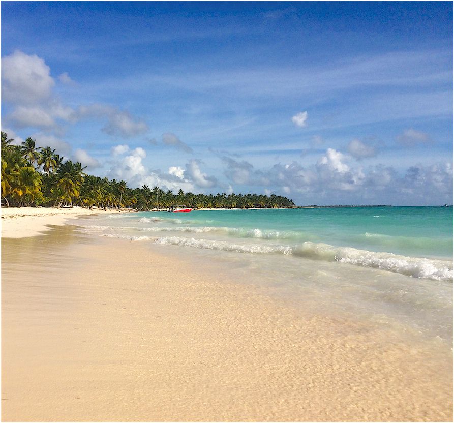 Isla Saona Crusoe Lancha Rapida, Snorkeling, Seavis, Lancha Rapida Saona Crusoe VIP from Bayahibe, Bavaro, Punta Cana, Uvero Alto, La Romana - Dominican Republic