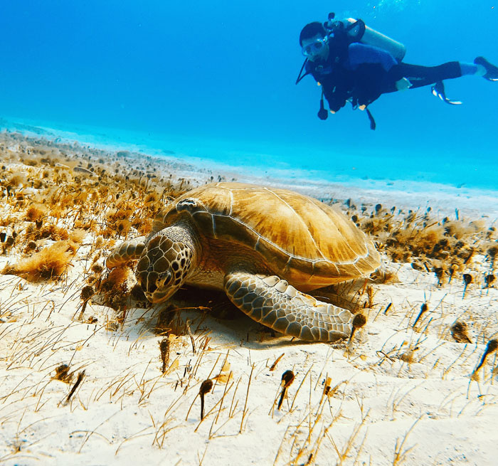 CANCUN Buceo 2 Tanques