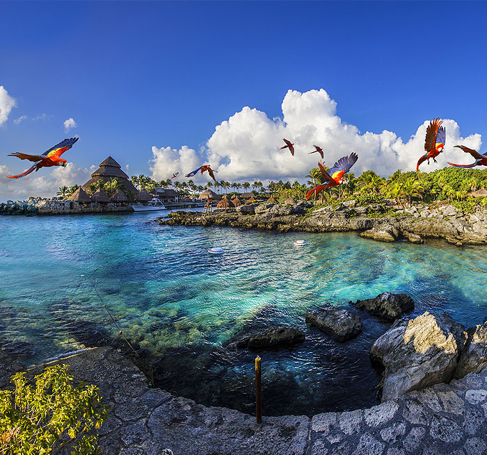 TULUM Xcaret PLUS