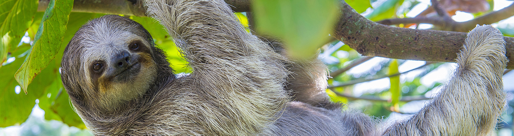 Manuel Antonio / Quepos Aventuras Costa Rica